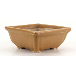 Bonsai pot NAU380 MGP