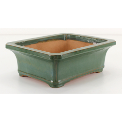 Bonsai pot CCH706 SHUHOZAN view 2