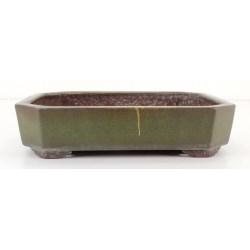 Bonsai pot JTA8189 YAMAAKI TOSHIO view 3