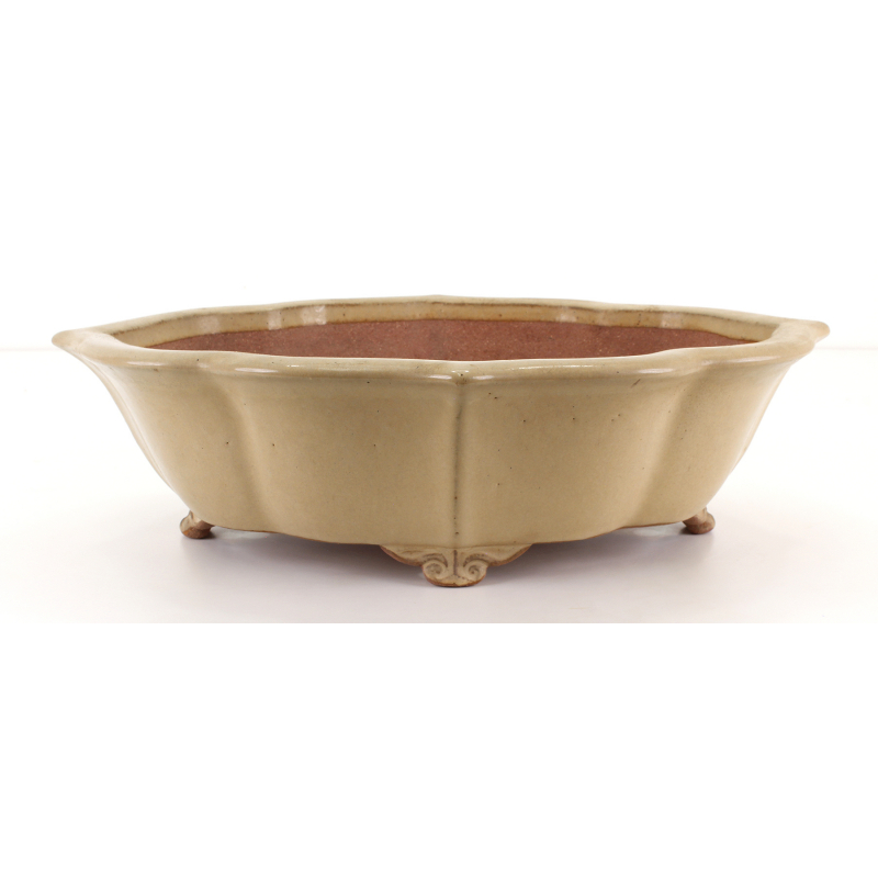 Bonsai pot JTA8145 SEIZAN REIHOU