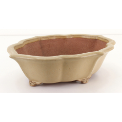 Bonsai pot JTA8145 SEIZAN REIHOU view 2