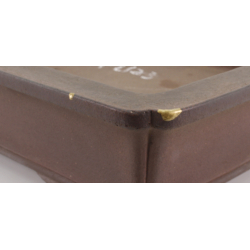 Bonsai pot JTA8188 KISEN view 4