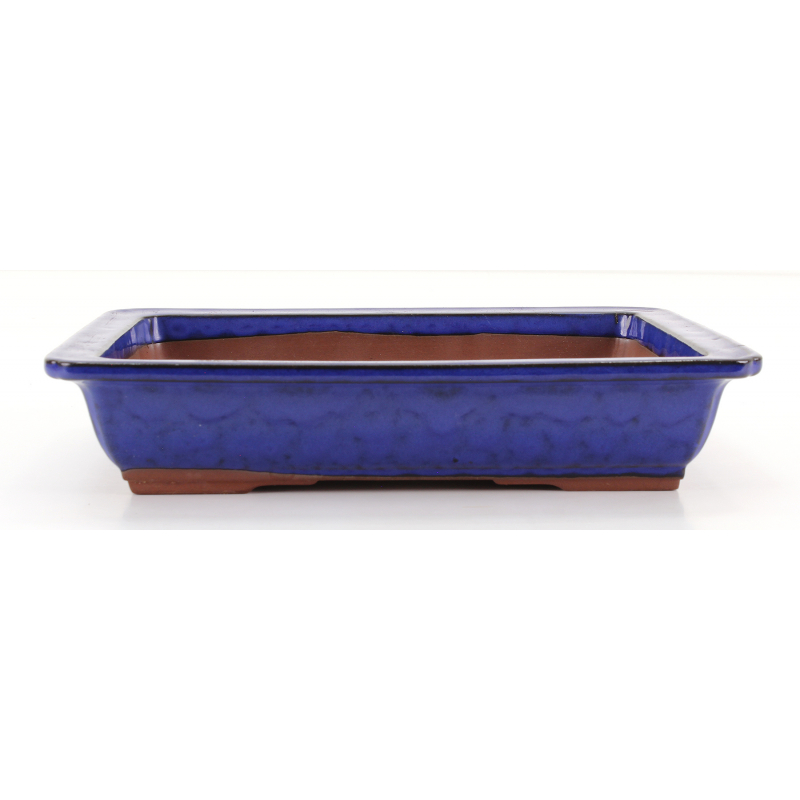 Bonsai pot KOR021 TONGRAE