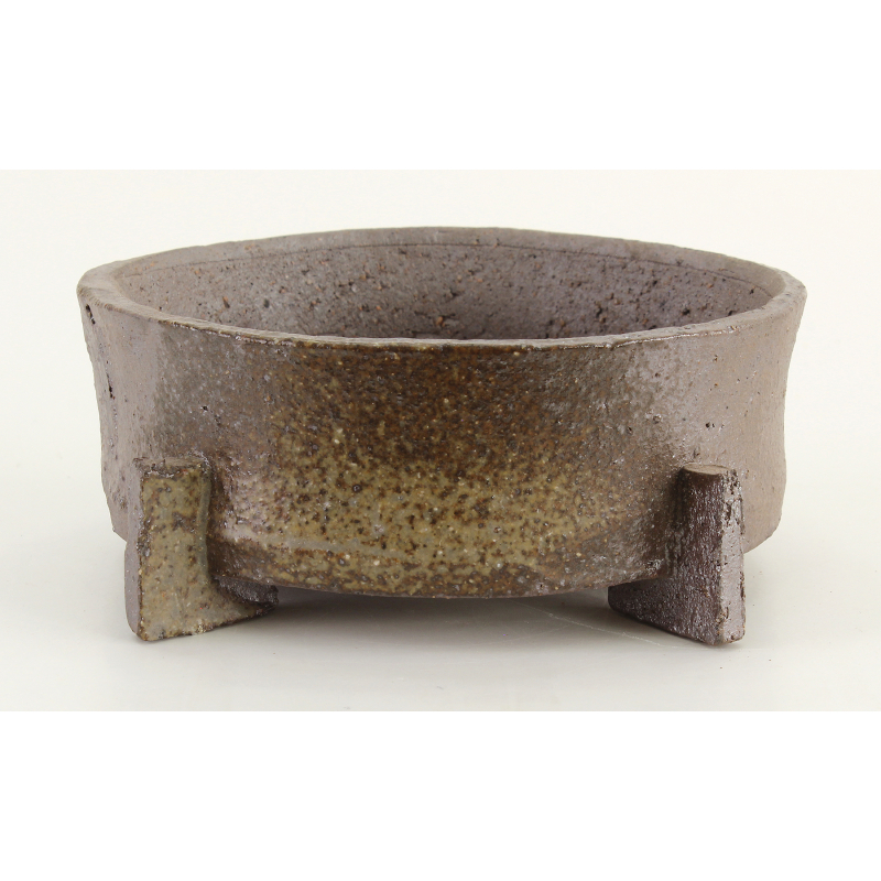 Bonsai pot JTA8398 SHIBAKATSU