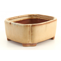 Bonsai pot JTA8417 TOSUI MASAO view 2