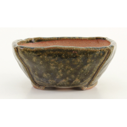 Bonsai pot JTA8308 KOTOBUKI view 2