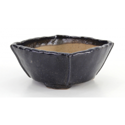 Bonsai pot JTA8311 KOTOBUKI