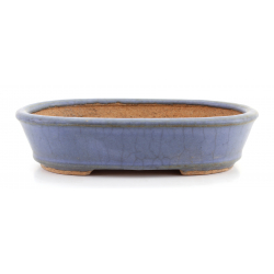 Bonsai pot JTA8305 HATTORI