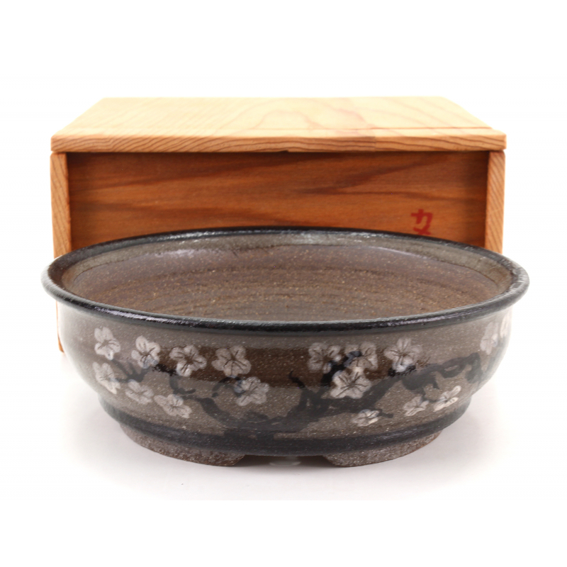 Bonsai pot NAU401 KAMEREON