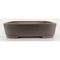 Bonsai pot JTA8245 KISEN