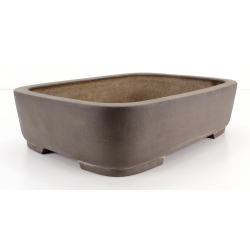 Bonsai pot JTA8245 KISEN view 2