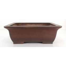 Bonsai pot JTA8238 YAMAAKI TOSHIO