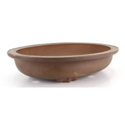 Bonsai pot JTA8217 IZUMI-YA ZENIGO view 2