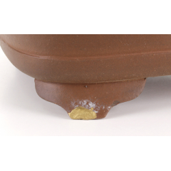 Bonsai pot JTA8223 AKIRA SHOUZAN JUKOSAN view 5