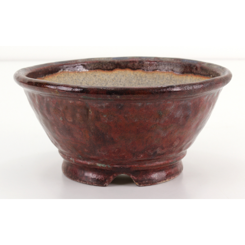 Bonsai pot JTA8406 BUNZAN ECHIZEN