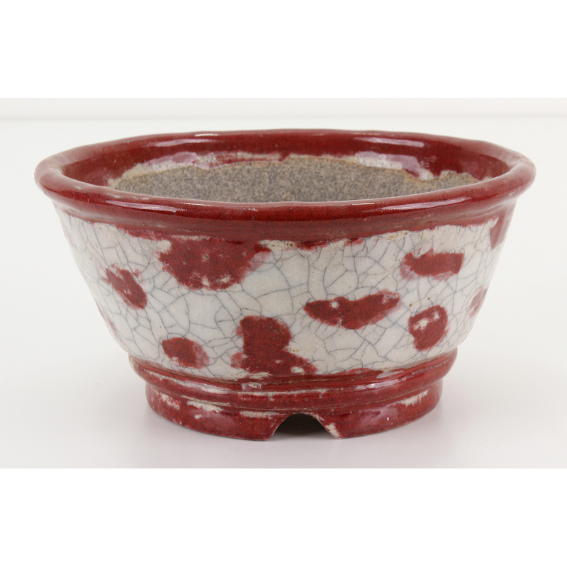 Bonsai pot JTA8409 BUNZAN ECHIZEN