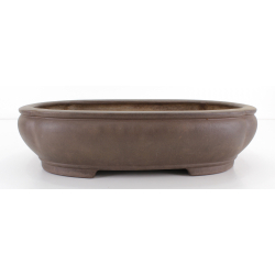 Bonsai pot JTA8241 REIHOU REIJI