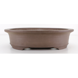 Bonsai pot JTA8242 REIHOU REIJI