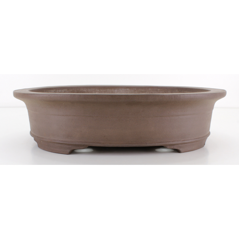 Bonsai pot JTA8242 REIHOU REIJI