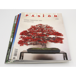 Set of 5 Bonsai Pasión magazines