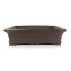 Bonsai pot JTA8476 YAMAAKI TOSHIO