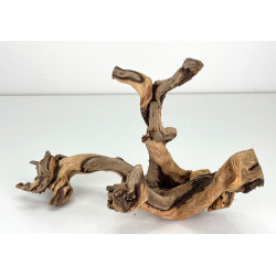 Wood for tanuki bonsai 157 view 3