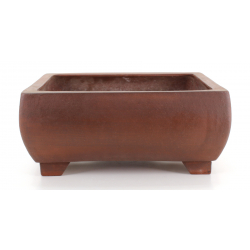 Bonsai pot JTA8501 IZUMI-YA ZENIGO