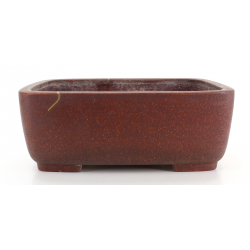 Bonsai pot JTA8504 IZUMI-YA ZENIGO