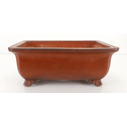 Bonsai pot JTA8425 TAZAN