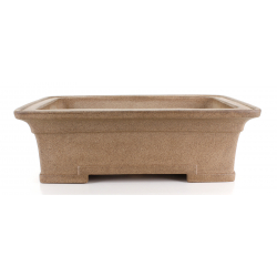 Bonsai pot JTA8486 IZUMI-YA ZENIGO