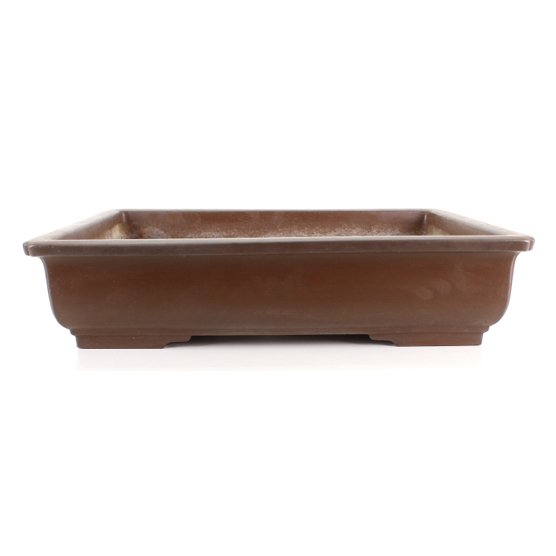 Bonsai pot JTA8481 SHIGHEARU