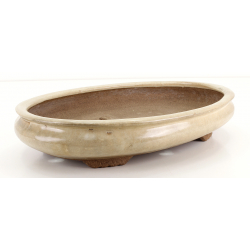 Bonsai pot JTA8430 EJIRI TAIZAN view 2