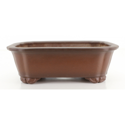 Bonsai pot JTA8488 TAZAN