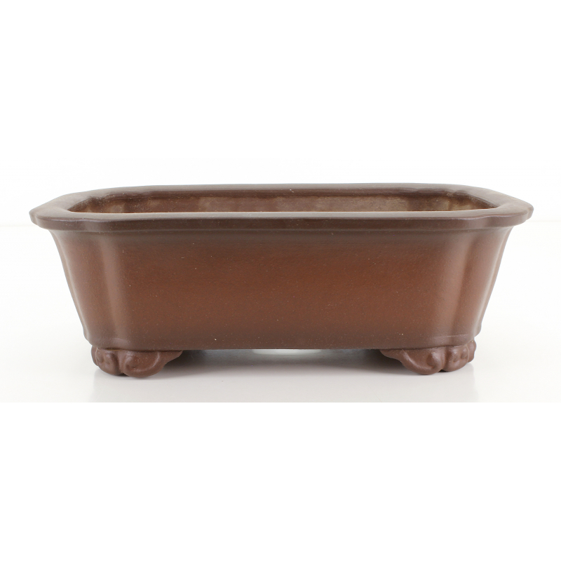 Bonsai pot JTA8488 TAZAN