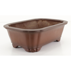 Bonsai pot JTA8488 TAZAN view 2