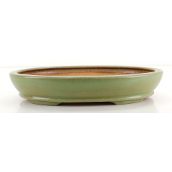 Bonsai pot JTA8441 HATTORI