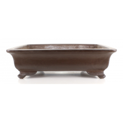 Bonsai pot JTA8426 SENKOUEN