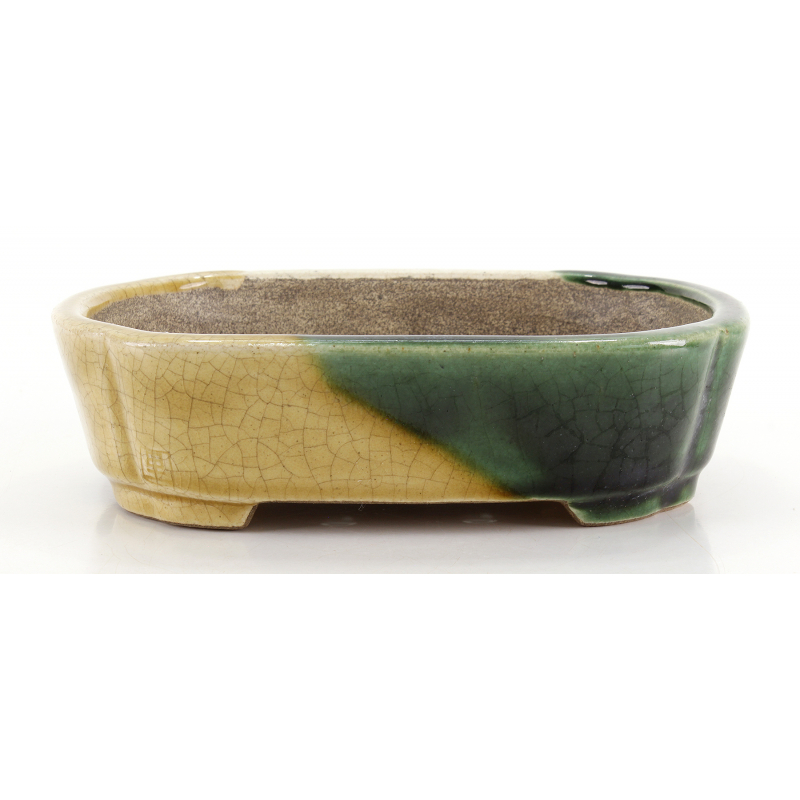 Bonsai pot TER579 TERAHATA SATOMI