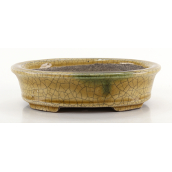 Bonsai pot TER584 TERAHATA SATOMI