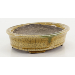 Bonsai pot TER584 TERAHATA SATOMI view 2