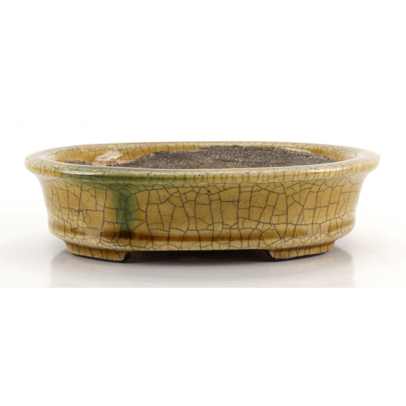 Bonsai pot TER583 TERAHATA SATOMI