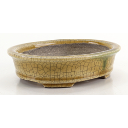 Bonsai pot TER583 TERAHATA SATOMI view 2