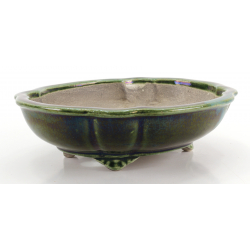 Bonsai pot TER600 TERAHATA SATOMI view 2