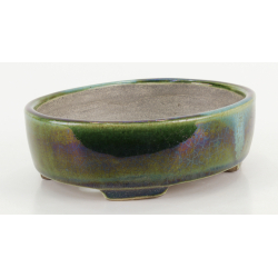 Bonsai pot TER590 TERAHATA SATOMI view 2