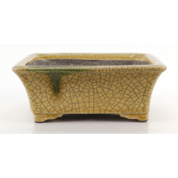 Bonsai pot TER578 TERAHATA SATOMI