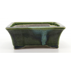 Bonsai pot TER577 TERAHATA SATOMI