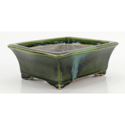 Bonsai pot TER577 TERAHATA SATOMI view 2