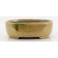 Bonsai pot TER588 TERAHATA SATOMI