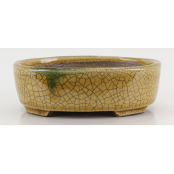 Bonsai pot TER587 TERAHATA SATOMI