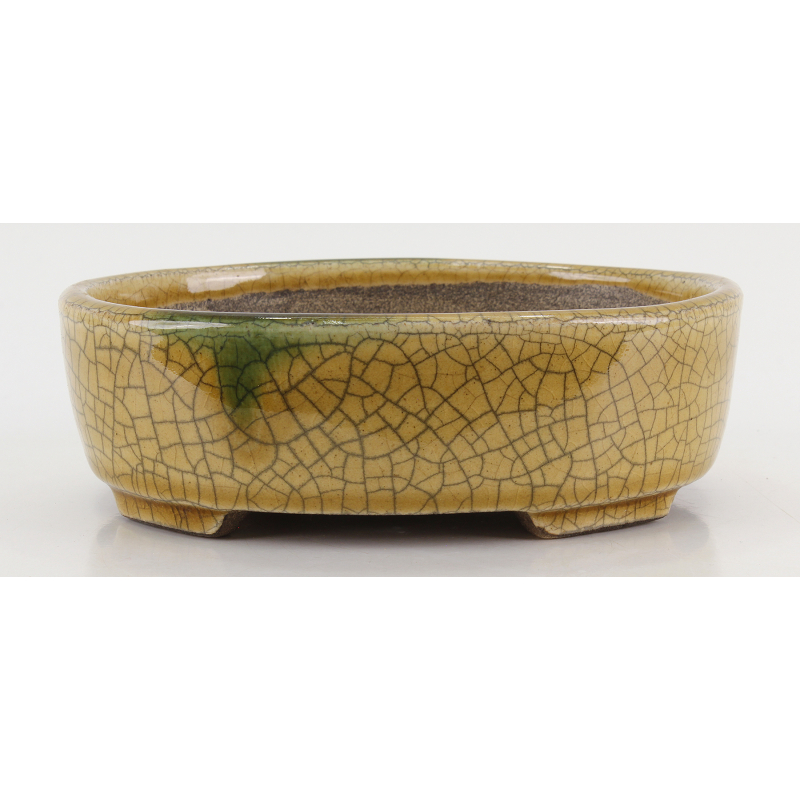 Bonsai pot TER587 TERAHATA SATOMI